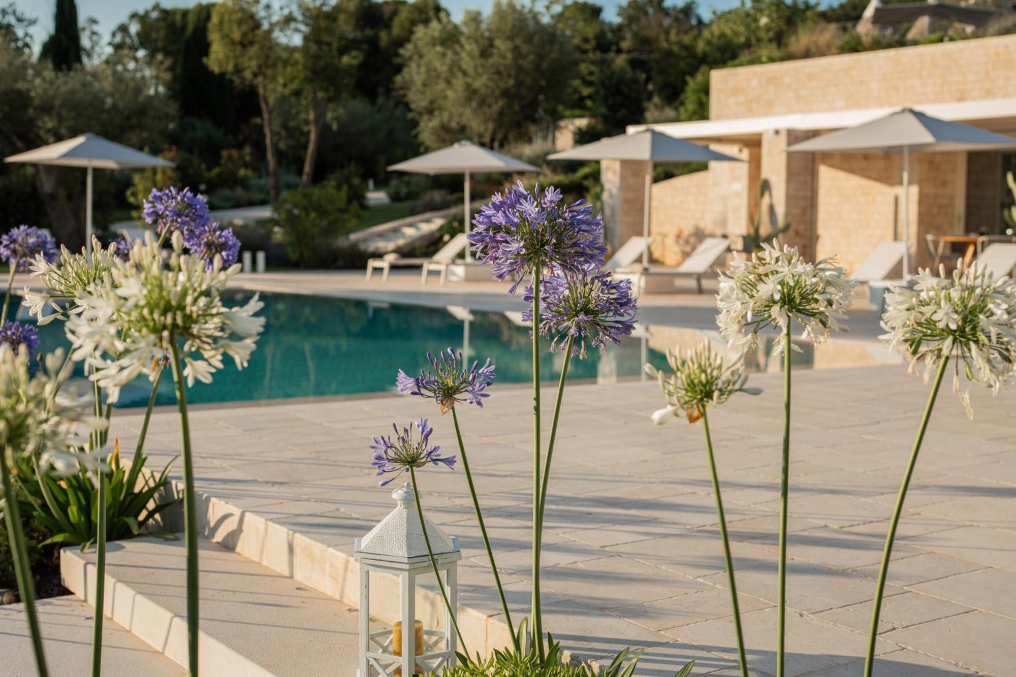Essenza Relais Contemporaneo Bed & Breakfast Cisternino Exterior photo